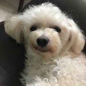 Meet your Posher, Thịnh